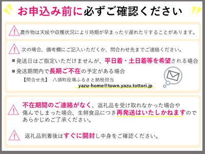 Y039【訳あり】王秋梨 4kg