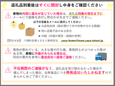 Y039【訳あり】王秋梨 4kg