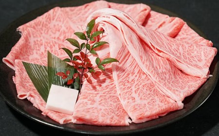 Y126 鳥取和牛 特選ロース すき焼き・しゃぶしゃぶ用(500g)