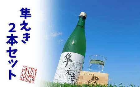 Y225 鳥取県産純米吟醸酒「隼えき」２本セット 11,544円