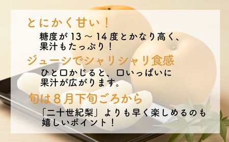 Y024 新甘泉(赤秀) 5kg