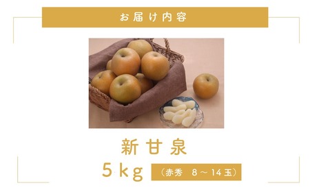Y024 新甘泉(赤秀) 5kg