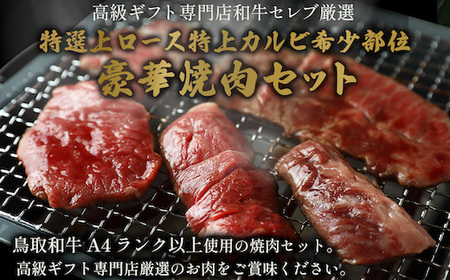 Y147 【和牛セレブ】鳥取和牛 焼肉用特選ロースカルビ&希少部位 600g