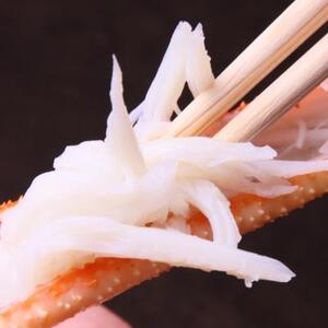 活きタグ付き松葉ガニ　大　２枚 １枚800～940ｇ前後MK1