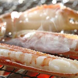 活きタグ付き松葉ガニ　大　２枚 １枚800～940ｇ前後MK1