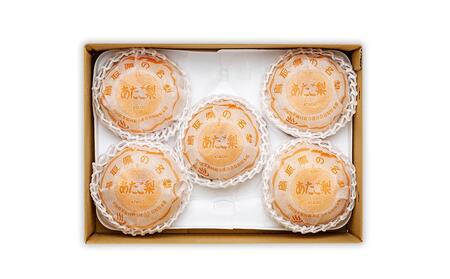 梨 あたご梨 鳥取産 5kg ( 5kg × 1箱 )