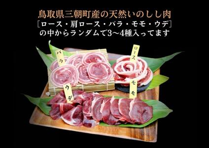 猪肉 三朝町産 ぼたん鍋用 ミックス スライス 500g