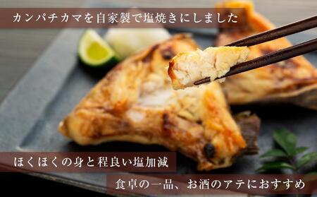 【数量限定】焼いときました！（レンチン）カンパチカマ１kg