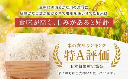 令和7年産 新米 米 特選三朝米 きぬむすめ 三朝町産 20kg（5kg×4袋）