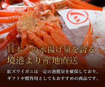 【 先行予約 2026年1月中旬以降発送 】【蟹セレブ】ズワイガニ(紅ズワイガニ)大2杯セット(500~600g×2)