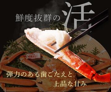 【 先行予約 2026年1月中旬以降～2月発送 】【蟹セレブ】タグ付き活〆ボイル・松葉がに（大・800ｇ前後）