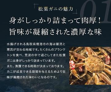 【 先行予約 2026年1月中旬以降～2月発送 】【蟹セレブ】タグ付き活〆ボイル・松葉がに（大・800ｇ前後）