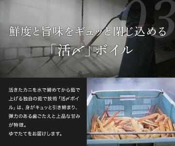 【 先行予約 2026年1月中旬以降～2月発送 】【蟹セレブ】タグ付き活〆ボイル・松葉がに（大・800ｇ前後）