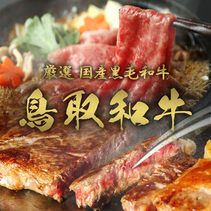 【和牛セレブ】鳥取和牛 定期便 「シルバークラス」(定期便6回)