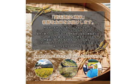 令和7年 鳥取県産　大上農園きぬむすめ 5kg