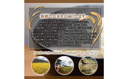 令和7年 鳥取県産 山崎農園こしひかり玄米5kg