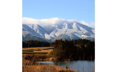 令和7年 鳥取県産 山崎農園こしひかり無洗米5kg