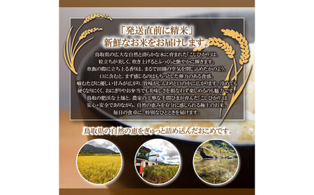 令和7年 鳥取県産 こしひかり無洗米10kg