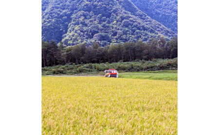 令和7年 鳥取県産 こしひかり無洗米10kg