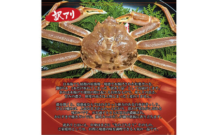 境港産 松葉ガニ500g(活冷)訳あり