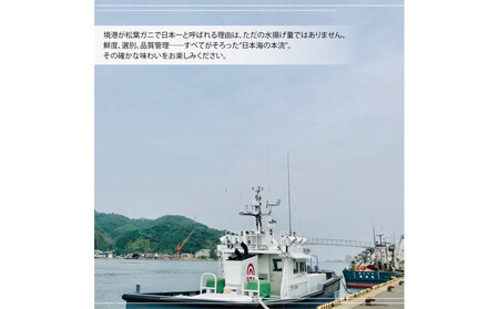 境港産 松葉ガニ500g(活冷)訳あり