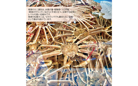 境港産 松葉ガニ350g(活冷)訳あり