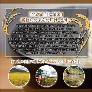 令和7年産 原田農園きぬむすめ 5kg