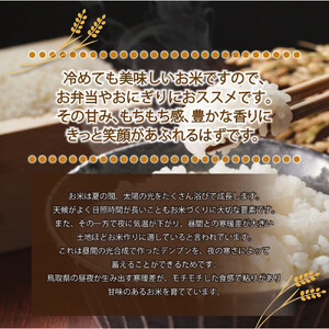 令和7年産　原田農園きぬむすめ10kg