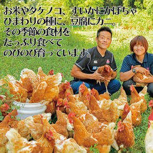 135K.平飼い鶏の『いのちのたまご』30個