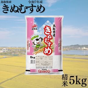 386KZ.鳥取県産きぬむすめ◇精米5kg◇令和7年産