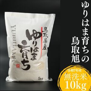 無洗米 10kg 白米 鳥取旭 鳥取県産 令和7年産 ゆりはま 育ち | 378K