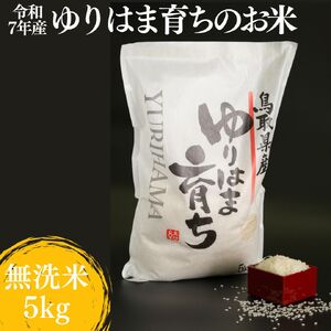 無洗米 5kg 白米 コシヒカリ こしひかり 鳥取県産 令和7年産 ゆりはま 育ち | 372KZ