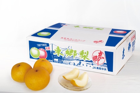 【2026年先行受付】梨 新興 しんこう 5kg 鳥取県産  | 10MS