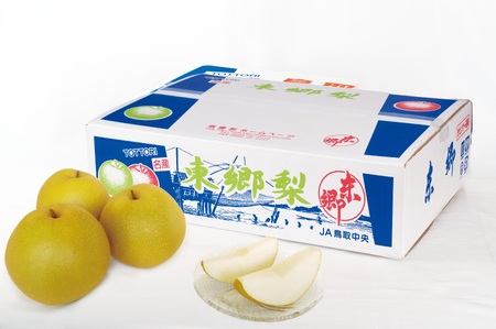 【2026年先行受付】梨 王秋 おうしゅう 5kg 鳥取県産 | 12MS