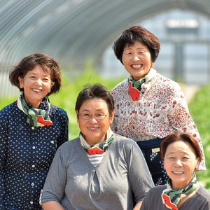 【2026年先行受付】スイカ 2L 7kg とまり 美人 西瓜 | 18MS