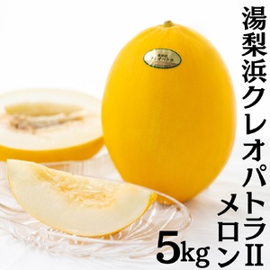 【2026年先行受付】メロン 5kg 4玉 － 6玉 クレオパトラ2 湯梨浜 | 19MS