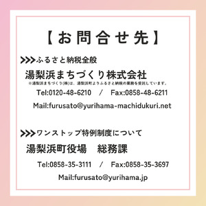 柿 2.5kg 輝太郎 きたろう 鳥取県 オリジナル | 21M