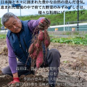 産地直送 紅はるか 3kg さつまいも サツマイモ 芋 | 110M