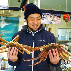 先行予約 訳あり 松葉ガニ 生 2枚 年明け 配送 着日指定不可 北海道、沖縄、一部離島への配送不可 松葉がに