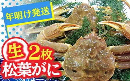 【先行予約】松葉ガニ（生なま）2枚【年明け配送】※着日指定不可※北海道、沖縄、一部離島への配送不可《ずわいがに　かに　カニ　蟹　正体》