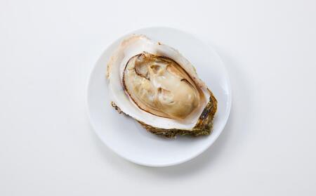  【先行予約 2026年6月以降発送】天然 岩ガキ 約 200 g × 8 個　※北海道、沖縄、一部離島への配送不可 岩ガキ岩ガキ岩ガキ岩ガキ岩ガキ牡蠣牡蠣牡蠣牡蠣牡蠣カキカキカキカキカキ