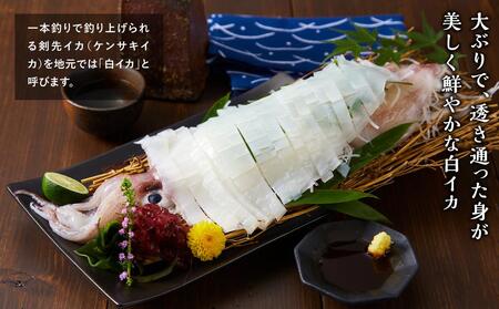 【先行予約 2026年6月以降発送】山陰直送 刺身用白イカ 700g（3～6杯）　※北海道、沖縄、一部離島への配送不可 剣先イカ剣先イカ剣先イカ剣先イカイカイカイカイカイカ