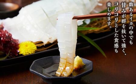 【先行予約 2026年6月以降発送】山陰直送 刺身用白イカ 700g（3～6杯）　※北海道、沖縄、一部離島への配送不可 剣先イカ剣先イカ剣先イカ剣先イカイカイカイカイカイカ