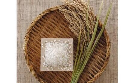 五ツ星お米マイスター監修　食べ比べセット　1kg×4銘柄（鳥取県産）