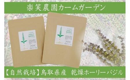 自然栽培 ハーブティー ホーリーバジル 100本(約1ヶ月分)