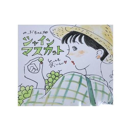 【先行予約】訳あり 琴浦町産シャインマスカット(粒パック)1.2kg