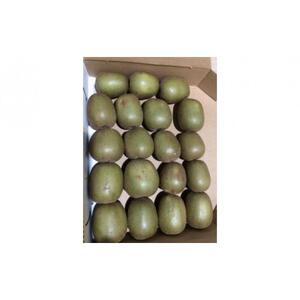 キウイフルーツ（レインボーレッド2kg）と追熟剤セット|キウイ