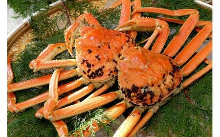 【先行予約】【訳アリ】松葉ガニ(ボイル)2枚(計1.6kg以上)【年明け配送】 松葉ガニ カニ