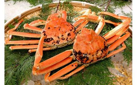 【先行予約】【訳アリ】松葉ガニ(ボイル)2枚(計1.6kg以上)【年明け配送】 松葉ガニ カニ