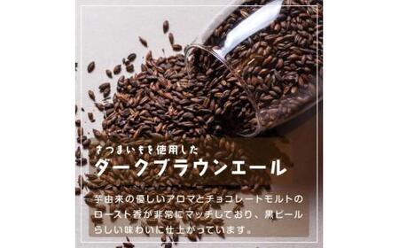 酒 クラフトビール Patata Dolce Beer 3本セット